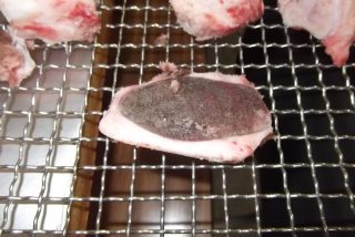 畜産品　ペットフード用畜肉の低温乾燥テスト（牛、豚、鶏、鹿）