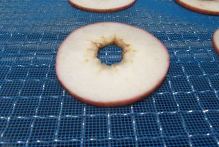 農産品　リンゴチップス低温乾燥テスト