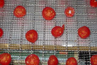 農産品　ドライミニトマトの低温乾燥テスト