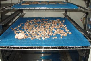 水産品　ペットフード用鮭チップ低温乾燥テスト