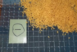 農産加工品　機能性食品　グルテンフリー　大豆米の低温乾燥テスト