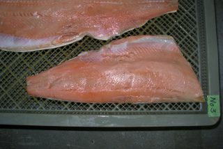 水産品　珍味　鮭とば低温乾燥テスト
