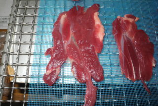 ペットフード　ジビエ　鹿肉全般の低温乾燥テスト
