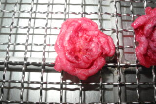 食品　砂糖菓子　バラの花の低温乾燥テスト