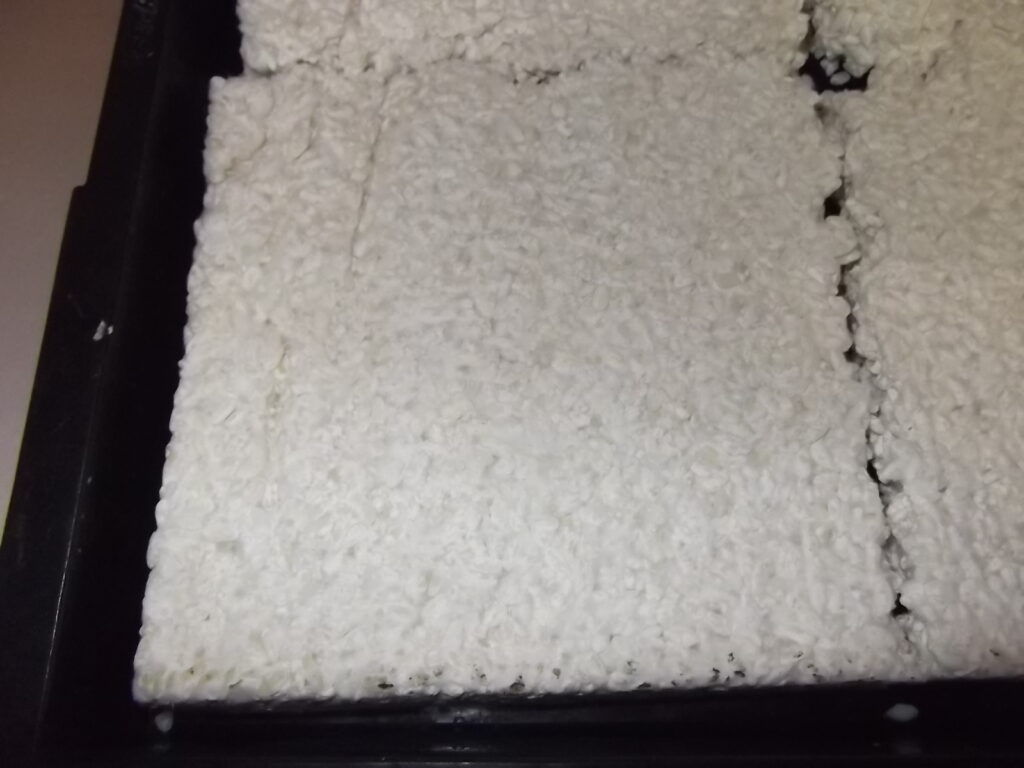 食品　米糀の低温乾燥テスト